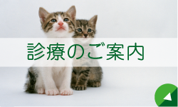 診療のご案内