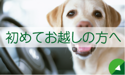 初めてお越しの方へ