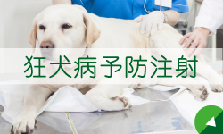 狂犬病予防注射