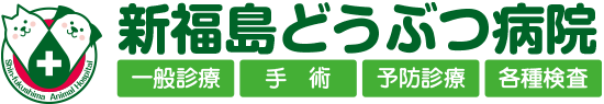 【新福島どうぶつ病院】 | 大阪市福島区・北区の動物病院| 犬・猫|日曜日