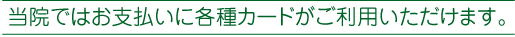 当院ではお支払いに各種カードがご利用いただけます。